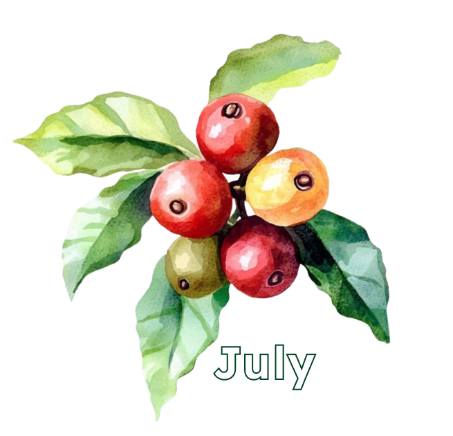 July
