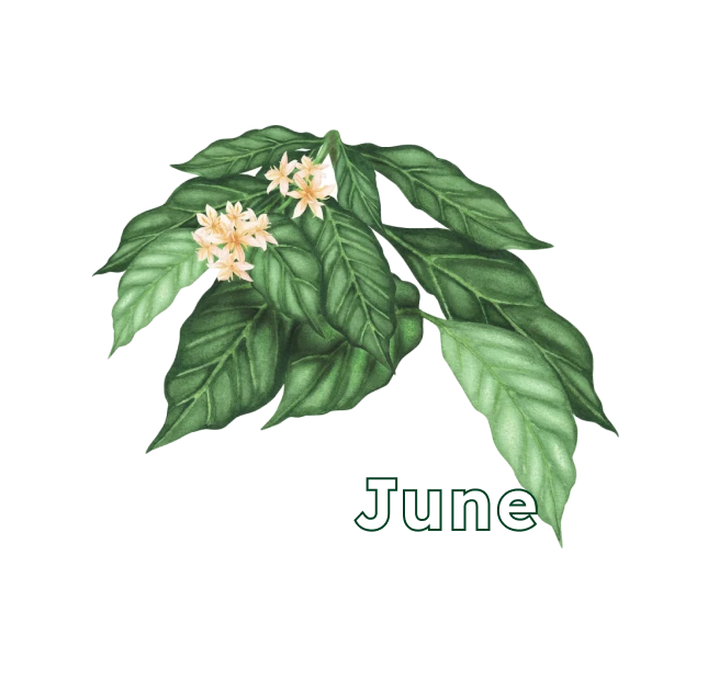June