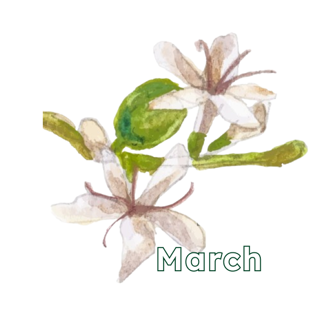 March