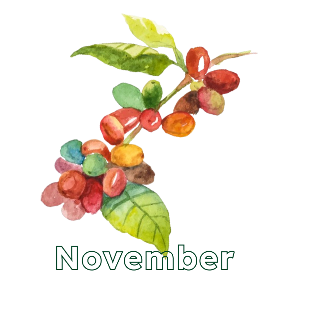November