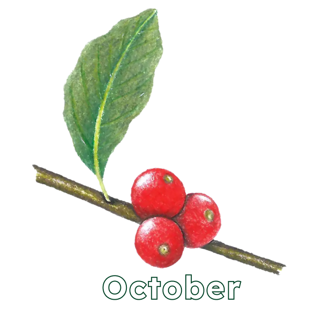 October