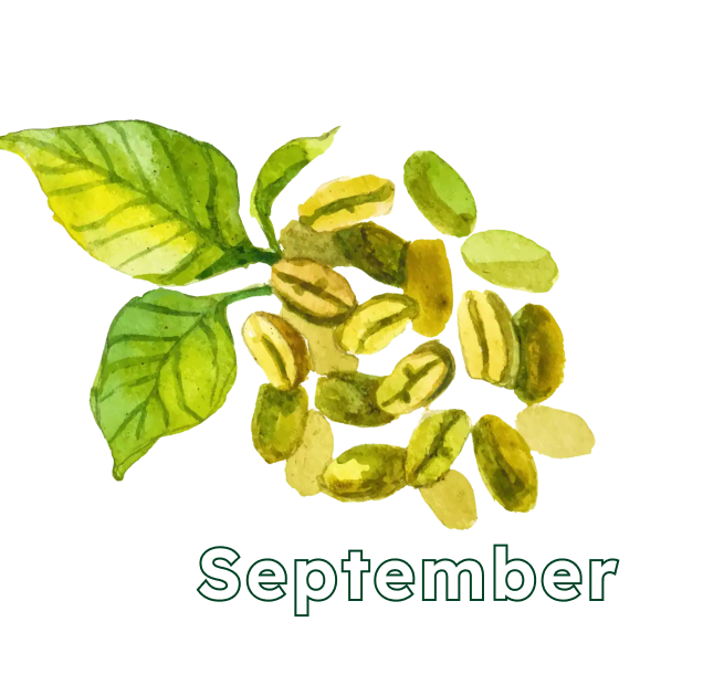 September